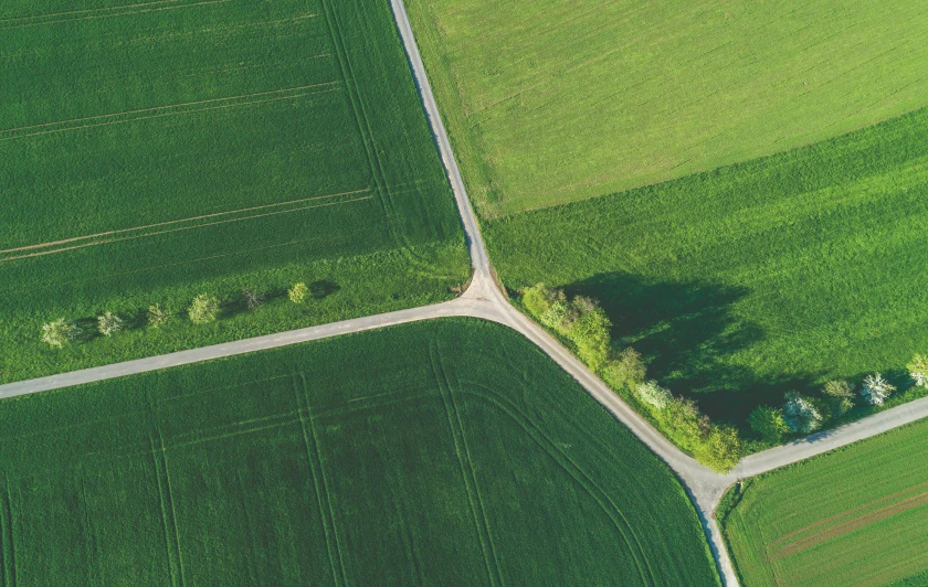 Aerial view of green agricultural fields intersected by roads
