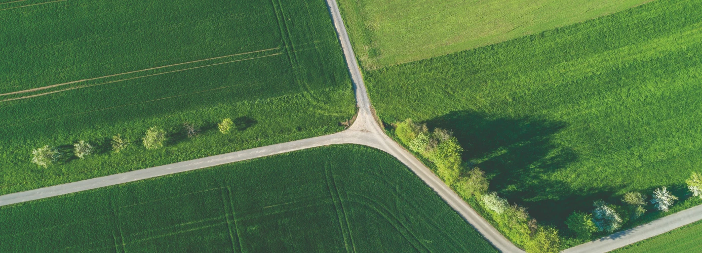 Aerial view of green agricultural fields intersected by roads