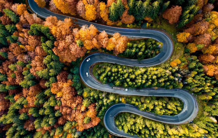 Winding road through colorful autumn forest, aerial view