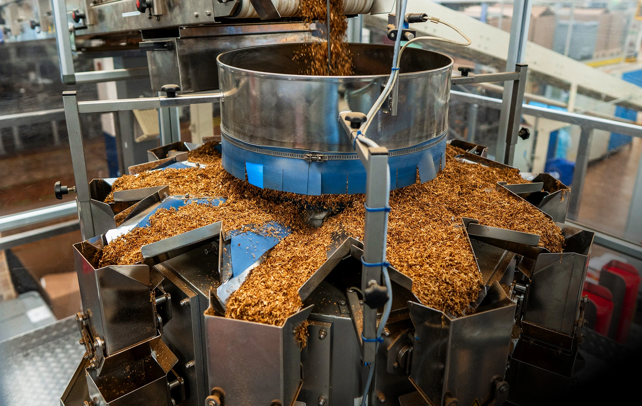 Dry tobacco sorting machine in factory