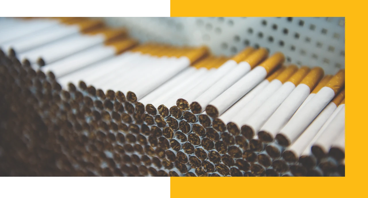 Large quantity of manufactured cigarettes lined up