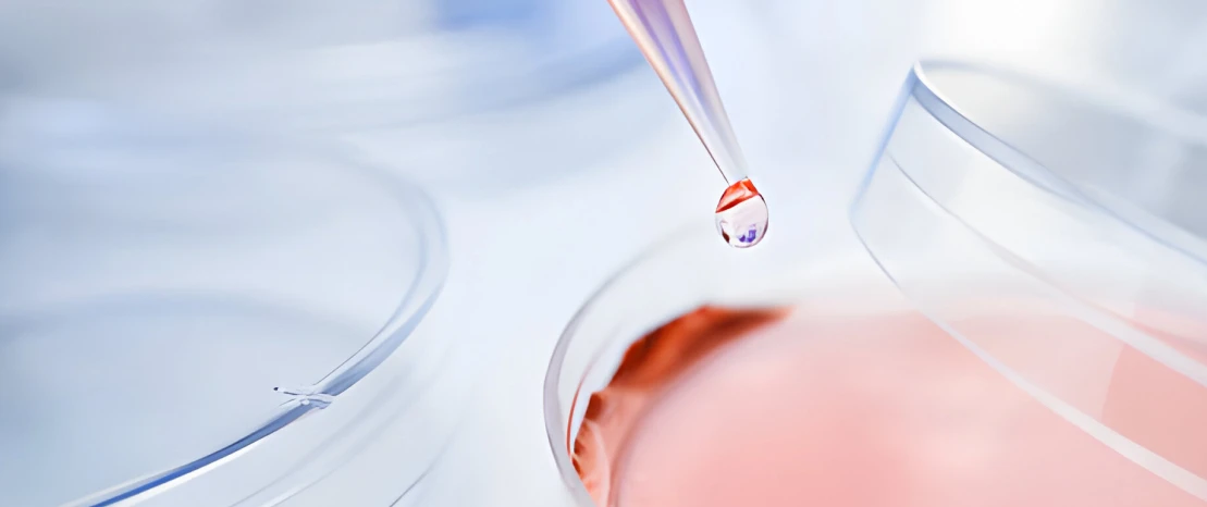 Pipette dropping liquid into petri dish