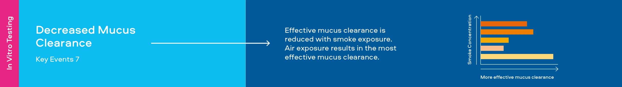 Decreased Mucus Clearance