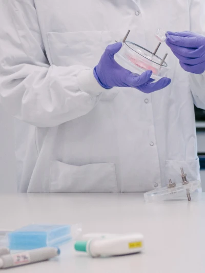 Researcher handling petri dish with purple gloves