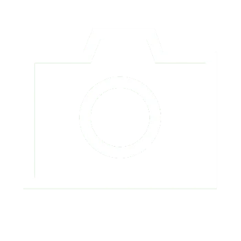 snapshot icon