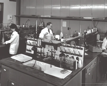 Scientists working in laboratory