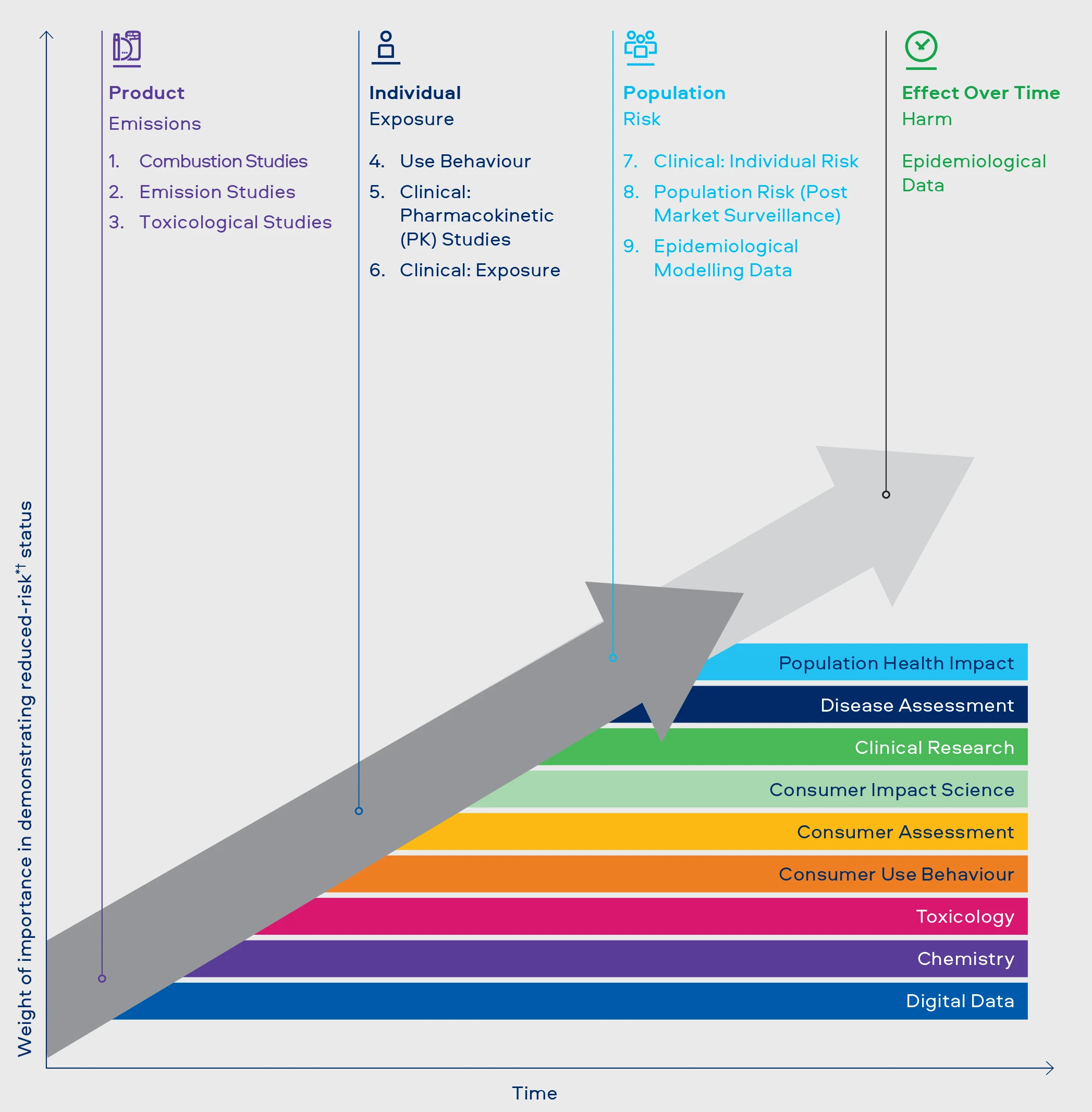 Diagram showing the nine steps risk assessment framework and the capabilities that support them over time