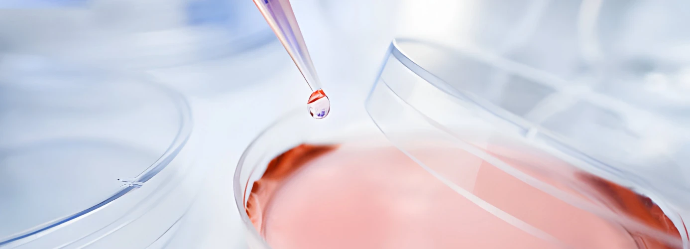 Pipette dropping liquid into petri dish