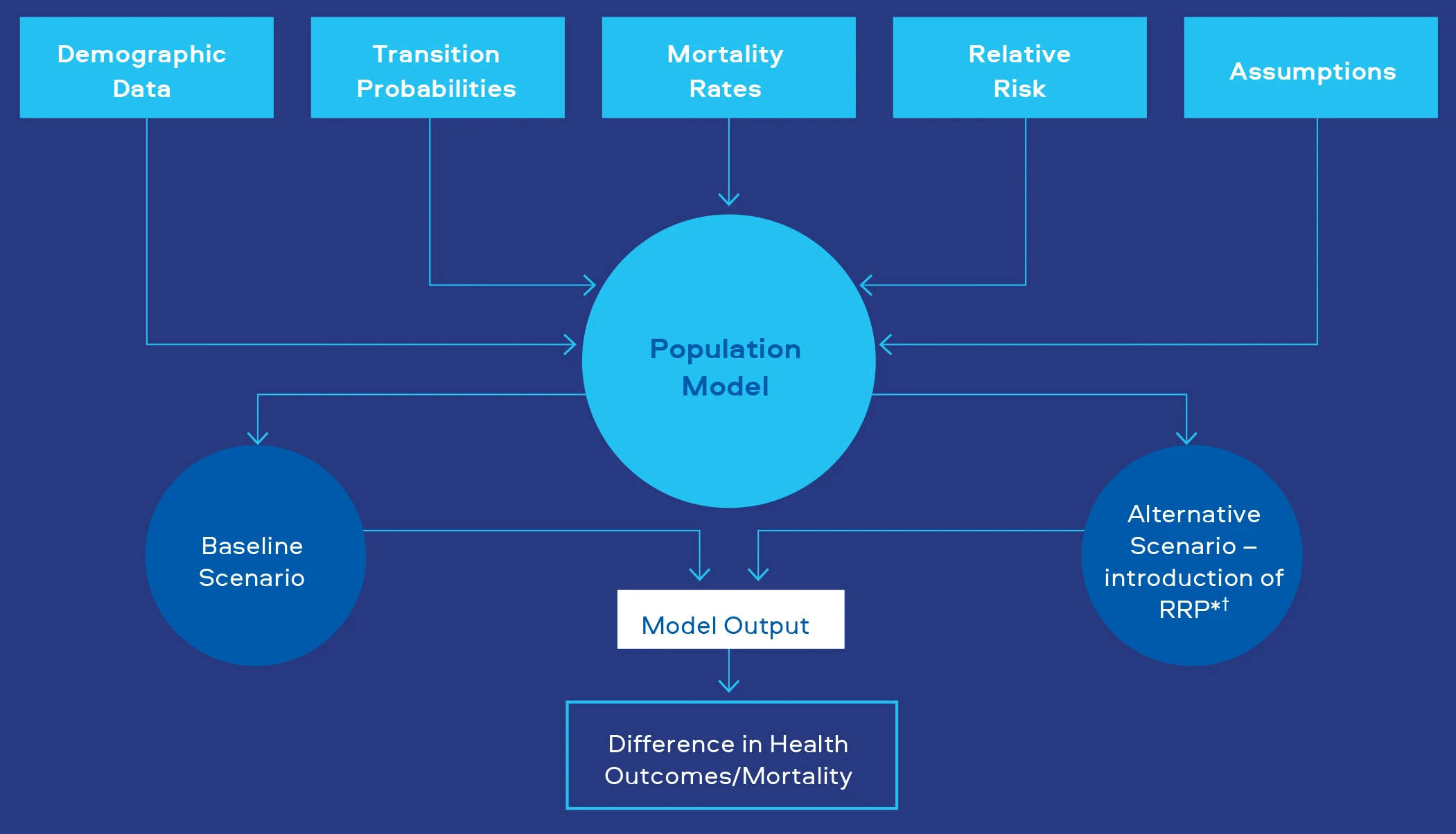 Figure 1. Example schematic of model input and output data and assumptions