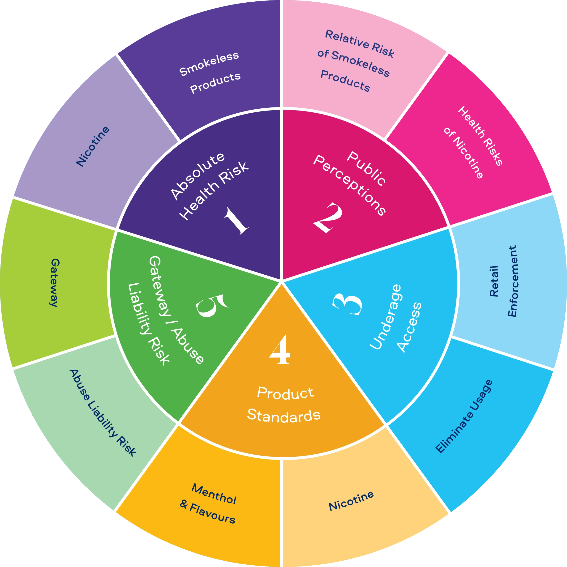 Summation of key questions including Absolute health risk, Public perceptions, Underage access, Product standards and Gateway or Abuse liability risk