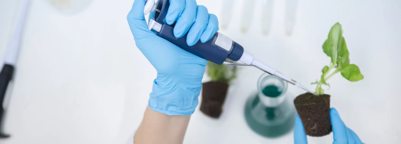 Hands in blue gloves using pipette on plant seedling